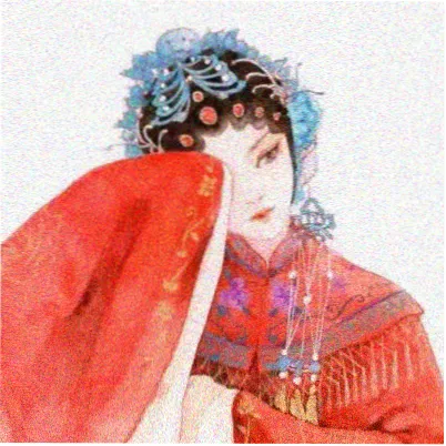 读者拾叶人的头像，干花压叶纹样